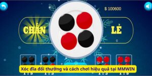 Xóc đĩa đổi thưởng và cách chơi hiệu quả tại MMWIN